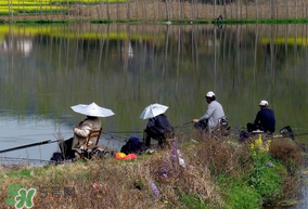 初春什么時(shí)候可以釣魚？初春釣魚技巧