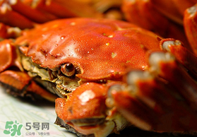 春天的螃蟹能吃嗎？開(kāi)春后大閘蟹能吃嗎？