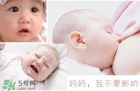 春天可以斷奶嗎？春天幾月份斷奶比較好？