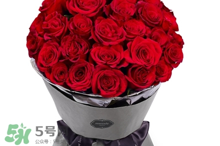 玫瑰花放在水里怎么養(yǎng)？玫瑰花插水里怎么養(yǎng)？