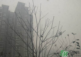 霧霾天開空調(diào)會不會污染室內(nèi)空氣？