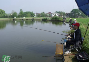 春天釣魚用什么餌料？春天釣魚用腥還是香？