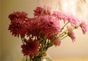 鮮花怎么養(yǎng)？鮮花怎么養(yǎng)放的比較久？