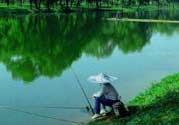 春天釣魚用什么餌料？春天釣魚用腥還是香？