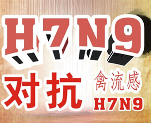 禽流感期間吃什么？預防禽流感吃什么好？