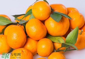 桔子批發(fā)多少錢一斤？桔子多少錢一斤？