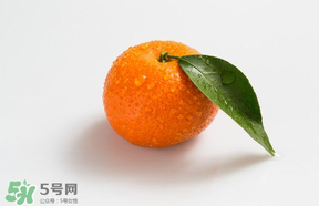 桔子批發(fā)多少錢一斤？桔子多少錢一斤？