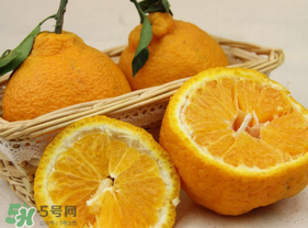 丑橘少錢一斤？丑橘一斤幾個？