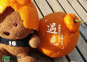 丑橘少錢一斤？丑橘一斤幾個？