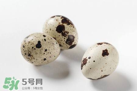禽流感可以吃鵪鶉蛋嗎？禽流感期間能吃鵪鶉蛋嗎？