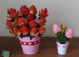 草莓花束怎么做？草莓花束怎么扎起來(lái)？