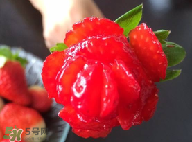 草莓花束怎么做？草莓花束怎么扎起來(lái)？