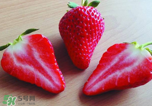 九九草莓多少錢一斤？99草莓價格是多少？