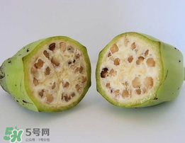野香蕉可以吃嗎？野香蕉怎么吃？