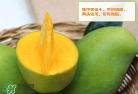 青芒果硬的能吃嗎？青芒果沒(méi)熟能吃嗎？