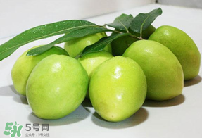 青棗什么時候上市？青棗什么時候成熟？