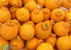 丑橘是轉基因嗎？丑八怪是轉基因的嗎？