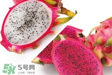 3月份有火龍果吃嗎？三月份可以吃火龍果嗎？