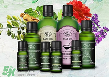 阿芙精油可以去痘印嗎？阿芙精油能不能去痘?。?></p><h3>阿芙茶樹精油怎么用</h3><h4>臉部保養(yǎng)</h4><p>1、直接點(diǎn)涂</p><p>茶樹精油是可以直接點(diǎn)涂在皮膚上的單方精油，用干凈的棉簽蘸取少量阿芙茶樹精油，直接點(diǎn)涂于痘痘處，痘痘會慢慢消退。</p><p>2、和護(hù)膚品混合</p><p>將1滴阿芙茶樹精油滴入爽膚水、乳液、精華、面霜等護(hù)膚品中，混合均勻后涂抹在臉上，可以收縮毛孔。</p><p>3、和面膜混合</p><p>將1滴阿芙茶樹精油滴入面膜中敷臉，可以調(diào)節(jié)肌膚油脂分泌，收縮毛孔，修復(fù)細(xì)胞。</p><p>4、面部按摩</p><p>將1滴阿芙茶樹精油、1滴洋甘菊精油、1滴薰衣草精油、10ml葡萄籽油混合均勻，用來按摩面部，可以幫助排毒。</p><p style=
