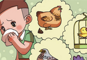 如何區(qū)分感冒和禽流感？禽流感和感冒的區(qū)別