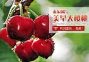 美早和黑珍珠哪個好吃？美早和黑珍珠的區(qū)別