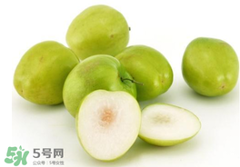 青棗可以泡酒嗎？青棗泡酒喝有什么好處？