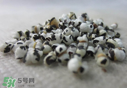 穿山甲下奶怎么吃？穿山甲下奶效果好嗎？