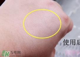 canmake花瓣高光怎么用？canmake花瓣雕刻高光使用方法
