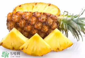 菠蘿批發(fā)多少錢一斤？菠蘿批發(fā)價格