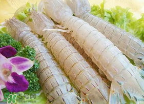 皮皮蝦為什么沒(méi)有肉？皮皮蝦為什么里面沒(méi)肉？