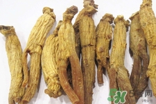 高麗參怎么吃效果最好？高麗參的正確吃法
