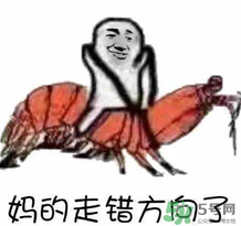 說人皮皮蝦是什么意思？女生叫男生皮皮蝦什么意思？