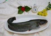 清江魚熱量高嗎？吃清江魚會胖嗎？
