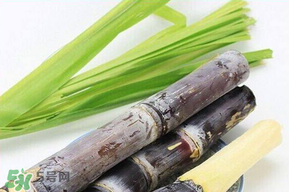 甘蔗發(fā)霉能吃嗎？吃了發(fā)霉的甘蔗怎么辦？