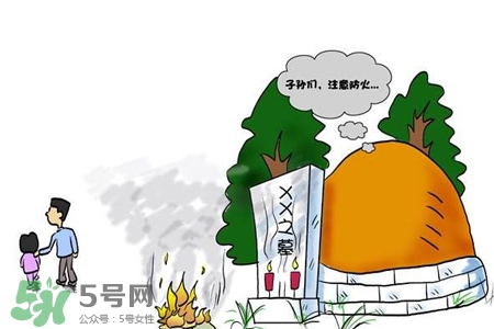 清明節(jié)掃墓用什么花？清明節(jié)上墳帶什么花？