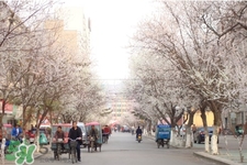 倒春寒是一種什么冷？倒春寒為什么會冷？