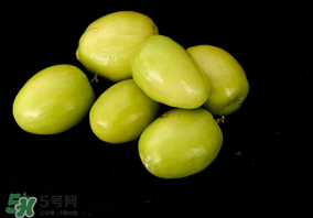 吃青棗可以減肥嗎？減肥可以吃青棗嗎？
