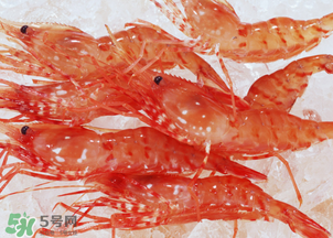 蝦凍了一年還能吃嗎？蝦凍了半年還能吃嗎？