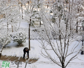 春天下雪意味著什么？春天為什么會(huì)下雪？