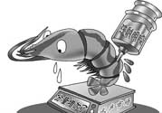 活蝦灌膠水是真的嗎？活蝦灌膠水人吃了會有什么害處？