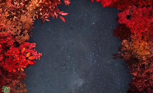 紅棕色是什么顏色？紅棕色口紅試色