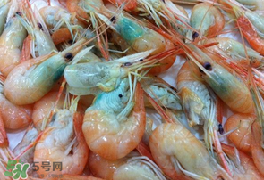 蝦變綠了能吃嗎？?jī)鑫r變綠了能吃嗎？