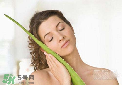 蘆薈涂在臉上發(fā)癢是怎么回事？蘆薈涂在臉上發(fā)癢怎么辦？