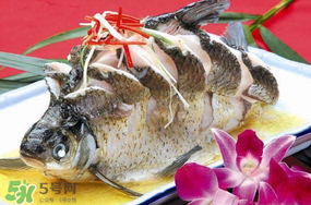 魚有禽流感嗎？吃魚會(huì)得禽流感嗎？