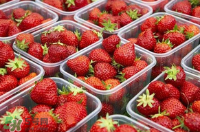 草莓爛了點(diǎn)皮可以吃嗎？草莓表皮發(fā)白是爛了嗎？