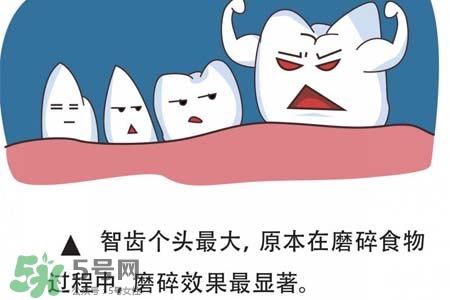 智齒經(jīng)常發(fā)炎怎么辦？智齒反復(fù)發(fā)炎腫痛怎么辦？