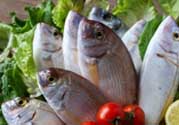 魚(yú)有禽流感嗎？吃魚(yú)會(huì)得禽流感嗎？