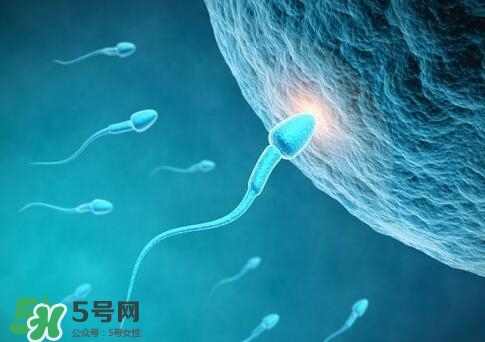 如何提高精子質量與成活率？精子質量怎么調理？