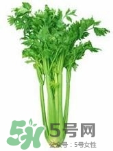 負(fù)卡路里的食物有哪些？負(fù)卡路里食物真的吃不胖嗎？