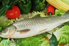 草魚能生吃嗎？草魚可以直接生吃嗎？